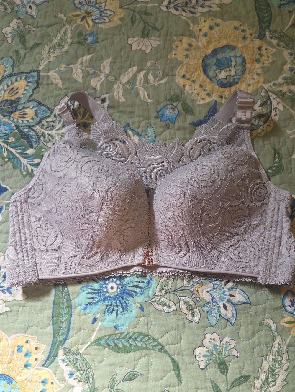 Lace Front Close Full-Coverage Wireless Bra in Taupe